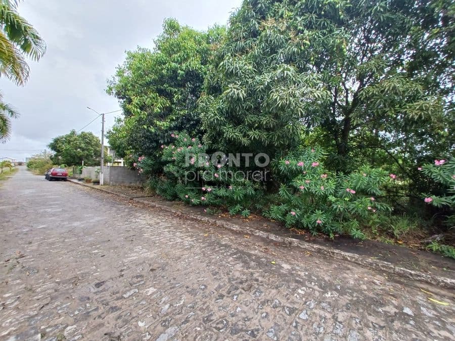 imagem de terreno Bairro de Porto de Galinhas Ipojuca PE, com 900,00 m².